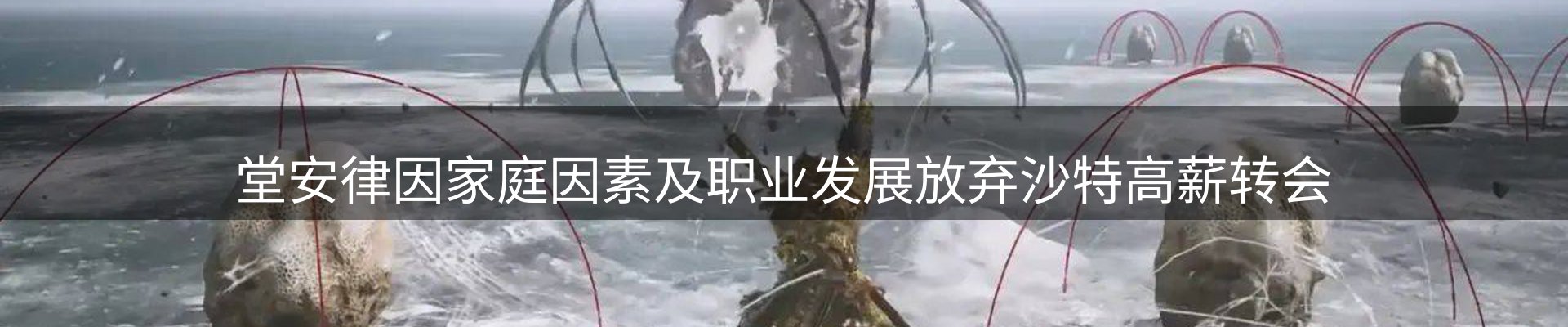 行业前瞻