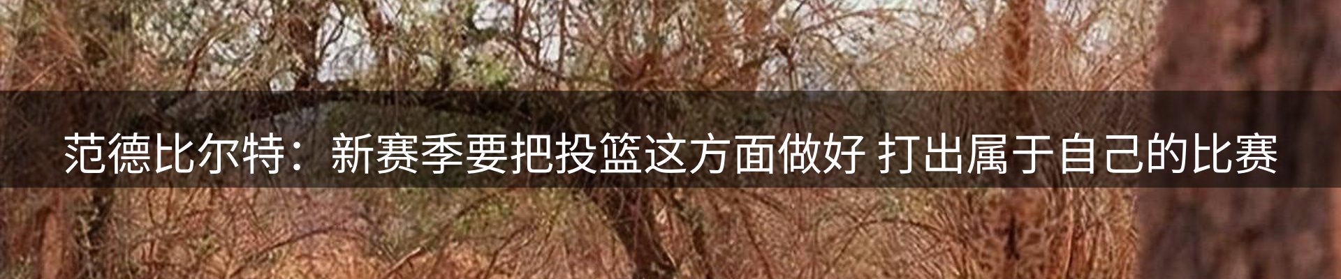 行业前瞻